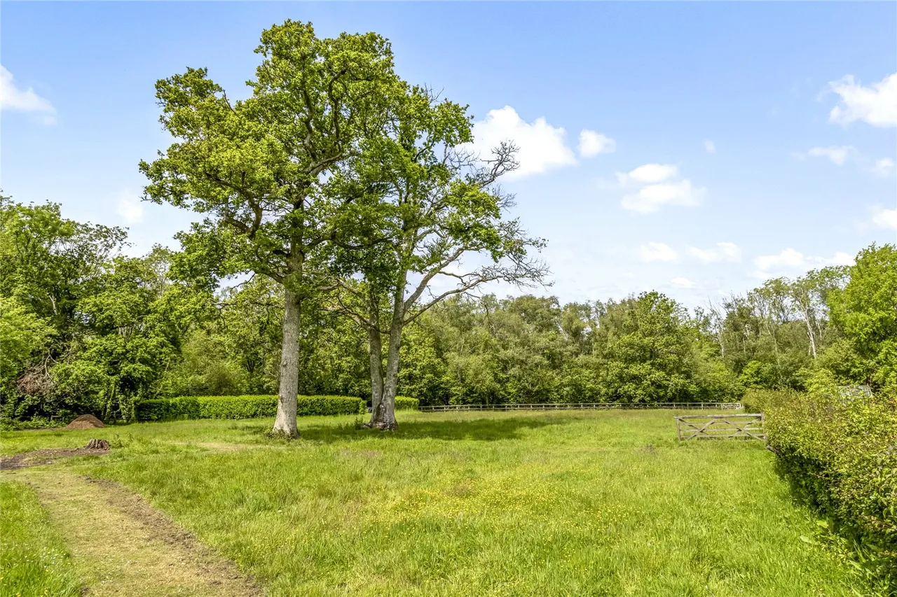 Dye House Lane, Duncton, GU28, photo 27