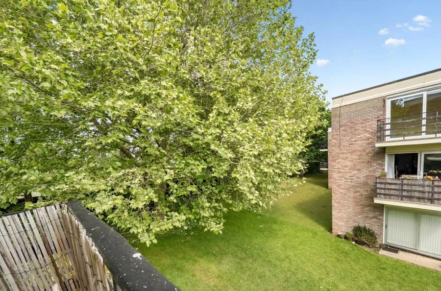 Park Close, Oxford, OX2, photo 11