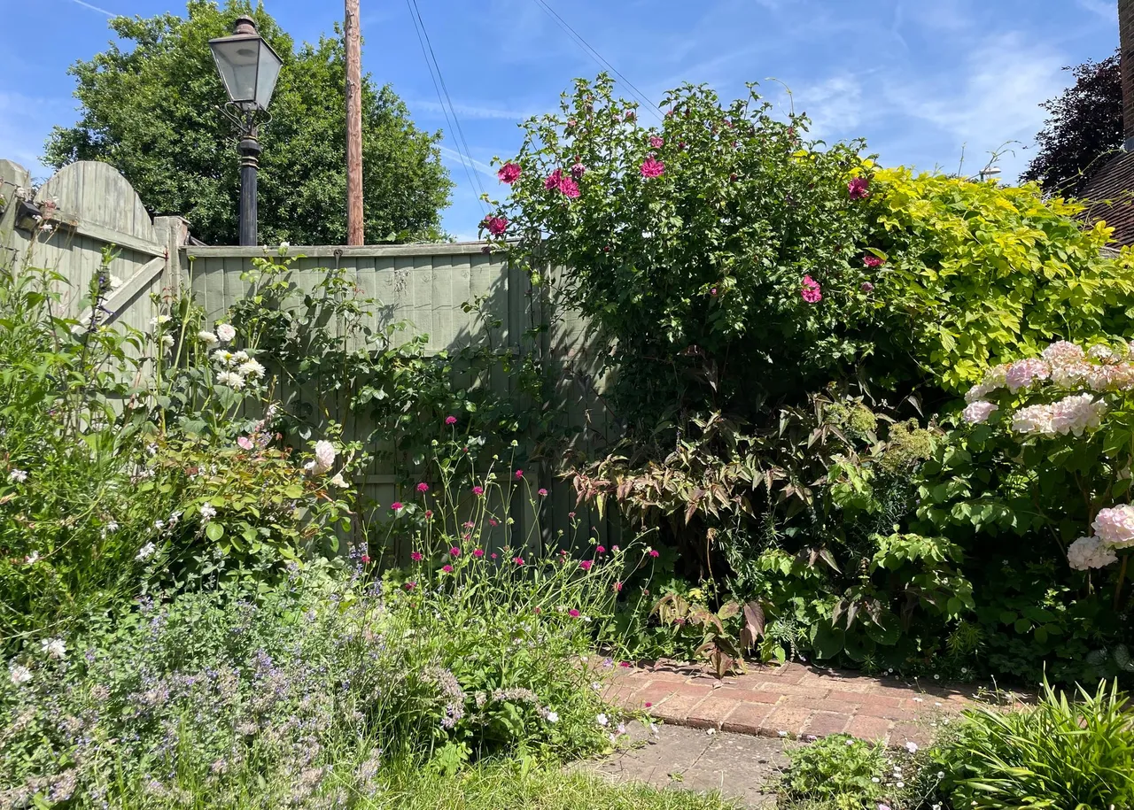 Main Road, Fishbourne, PO18, photo 20