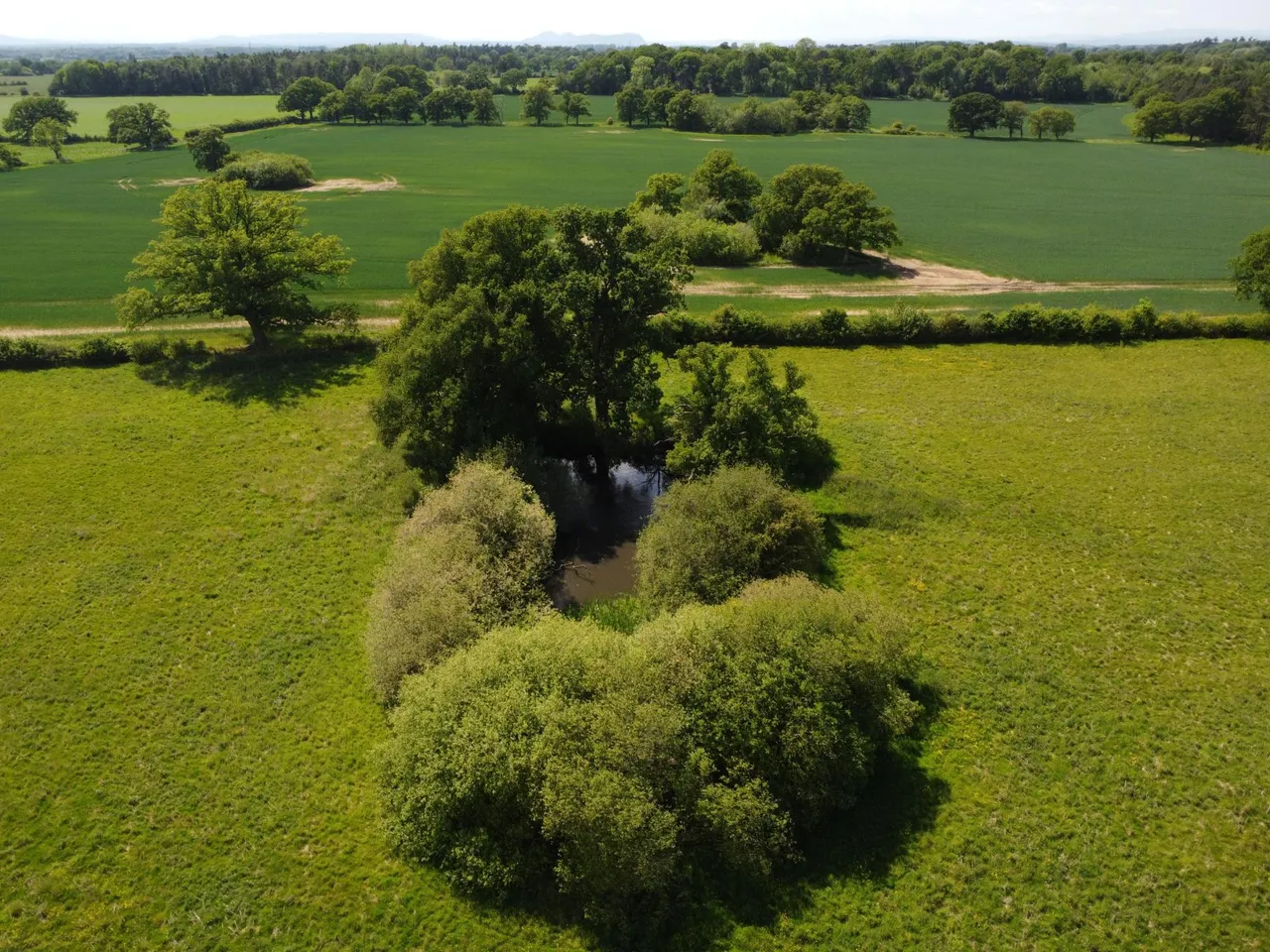 Shrewsbury Road, Upper Battlefield, Shrewsbury, SY4, photo 5