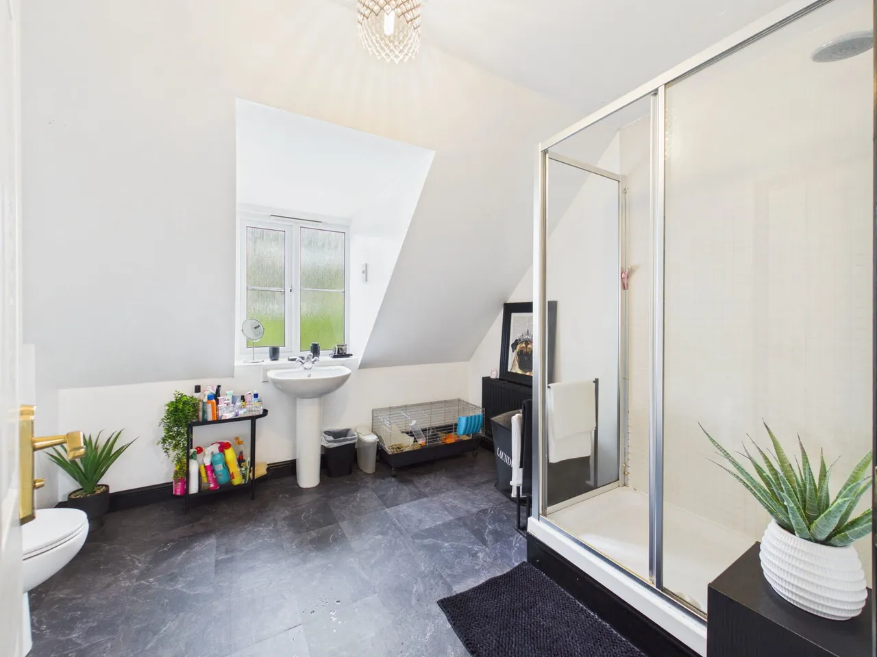 Shoveller Drive, Apley, TF1, photo 14