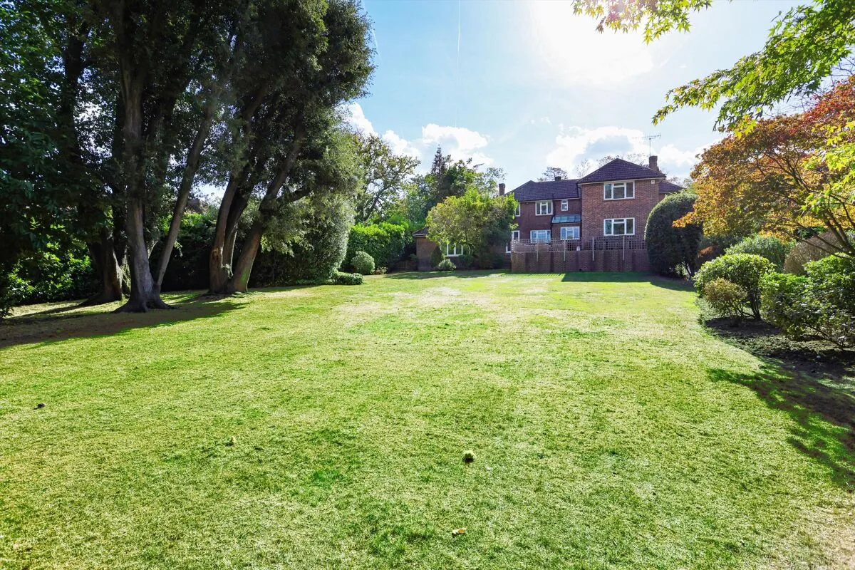 Fairmile Park Road, Cobham, KT11, photo 19