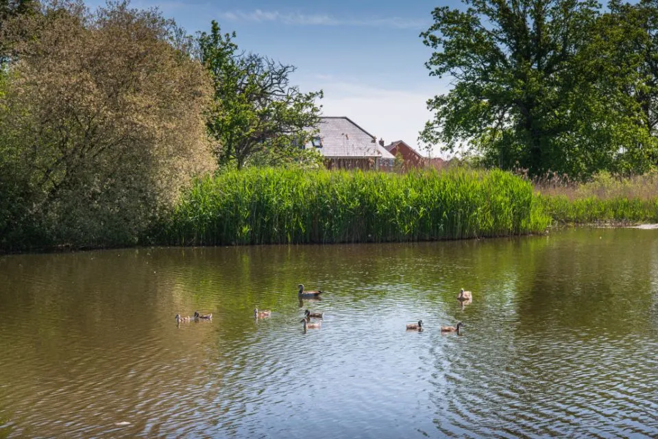 Emerald Avenue, Fleet, Hampshire, GU51 5EH, photo 9