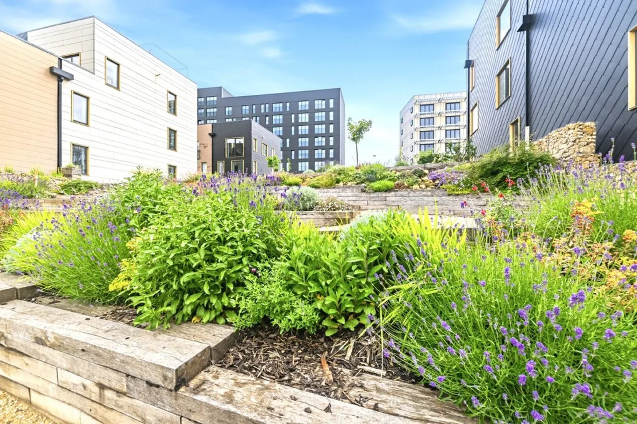 Aire Lofts, Climate Innovation District, LS9, photo 13