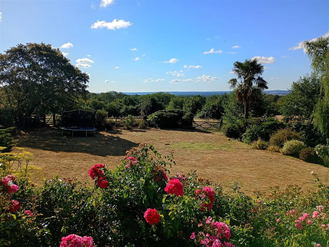 Scords Lane, Toys Hill, photo 17