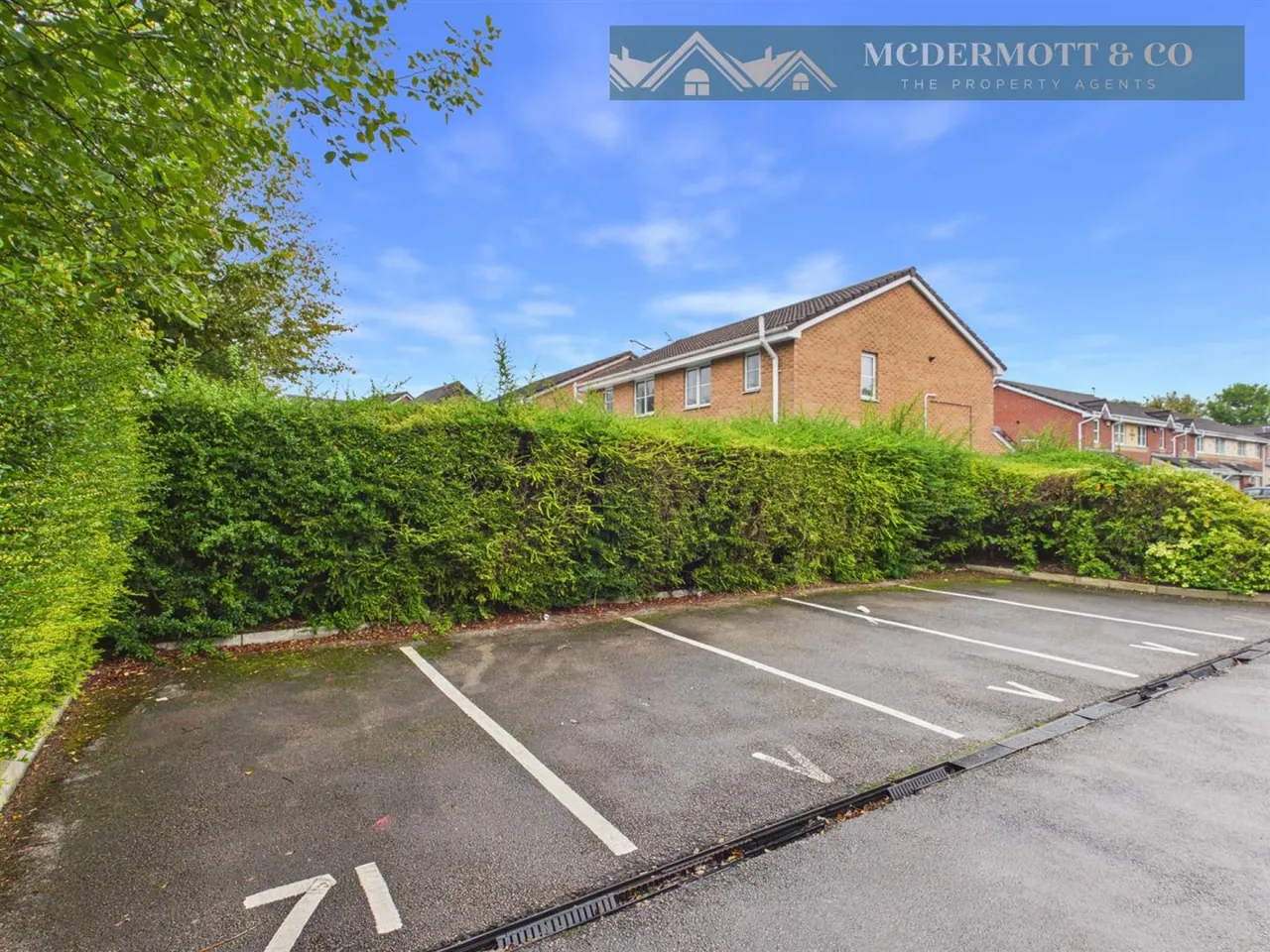 Newton Street, Droylsden, M43, photo 8