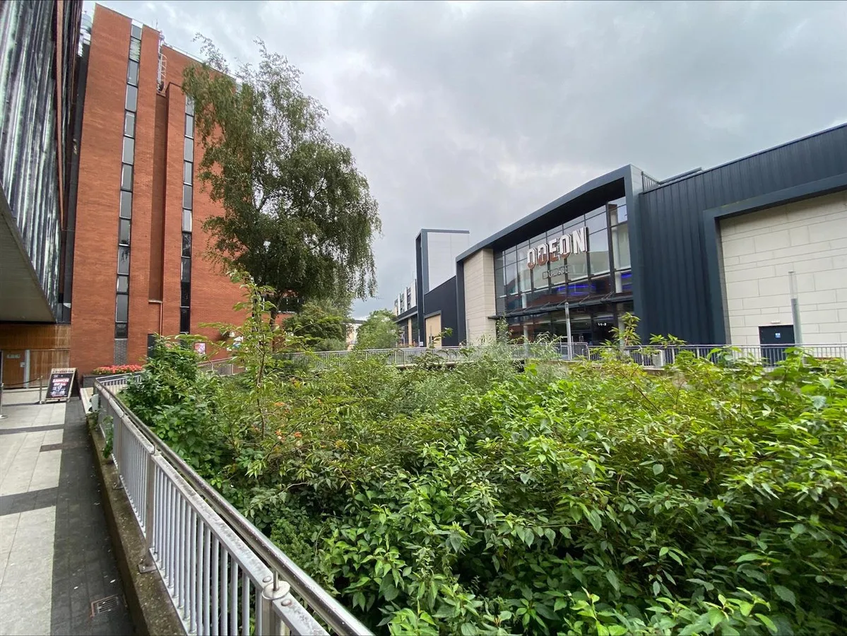 Riverside, Stafford, ST16, photo 34