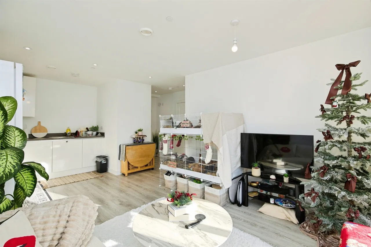 Sylvester Close, Derby, DE1, photo 5