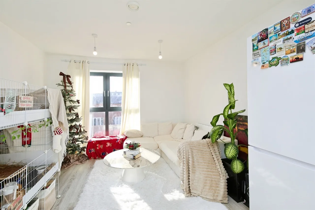 Sylvester Close, Derby, DE1, photo 6