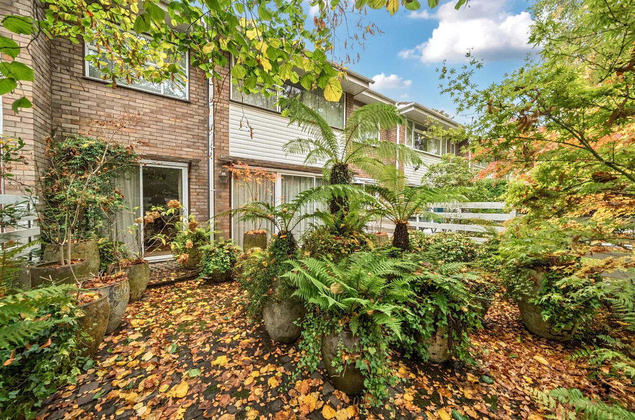 Hardwick Green, London, W13, photo 10