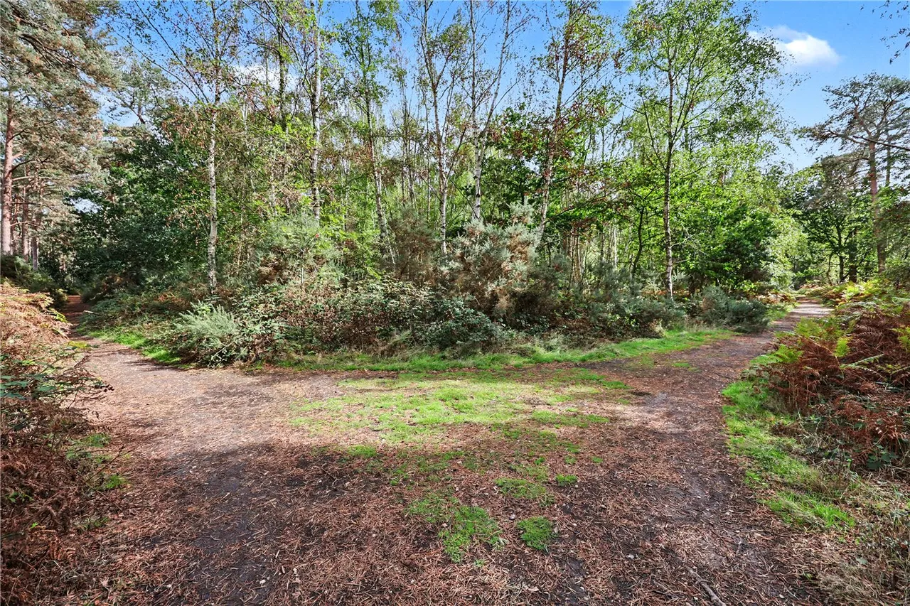 Nightjar Way, Sprowston, NR7, photo 26