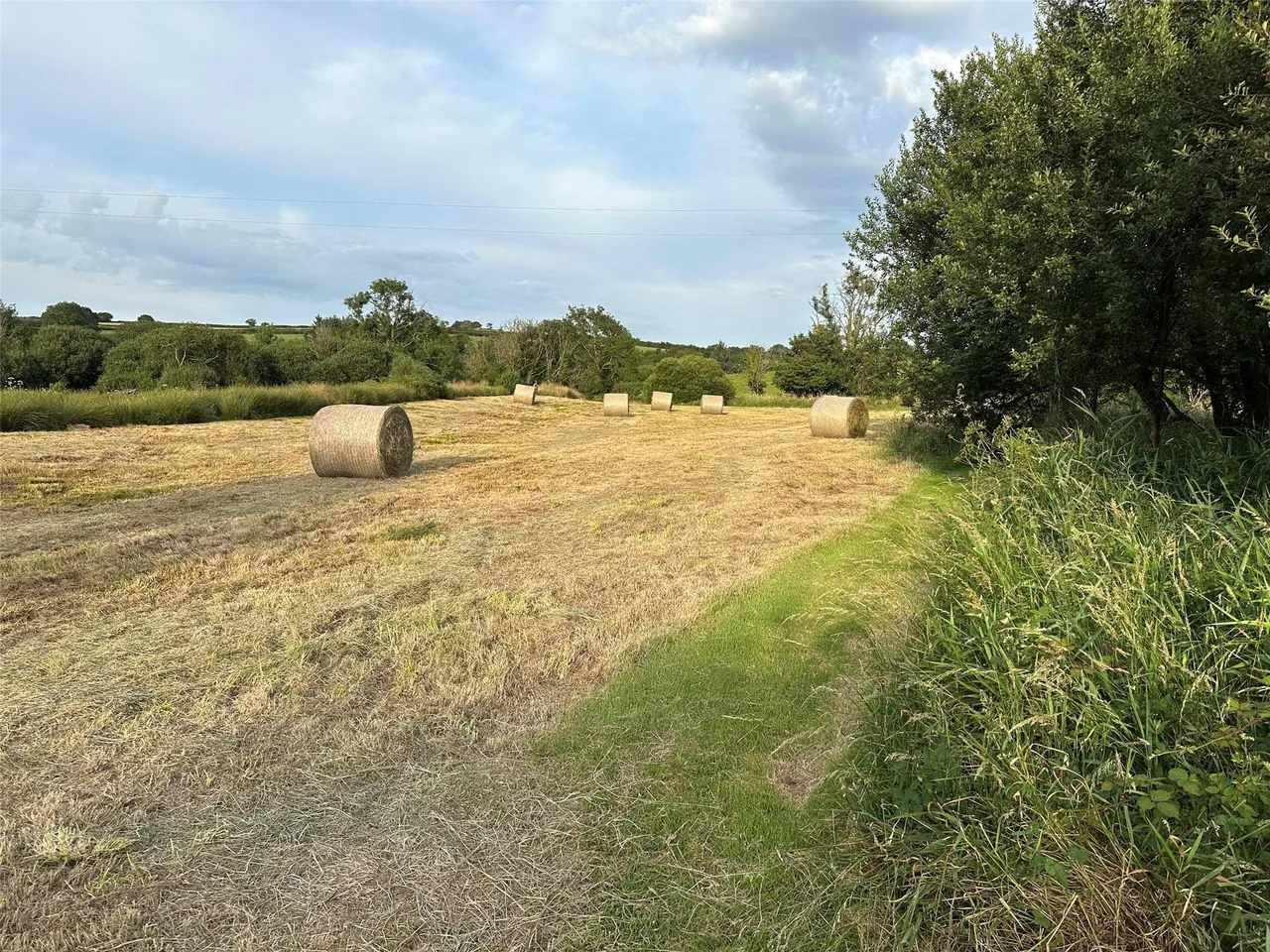 Woolsery, Bideford, photo 49