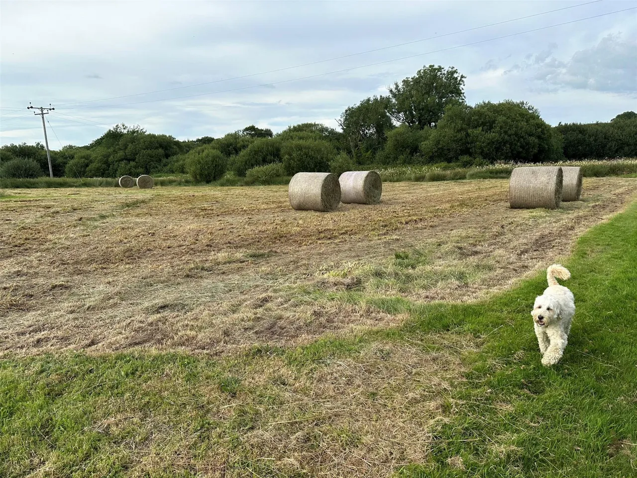Woolsery, Bideford, photo 46