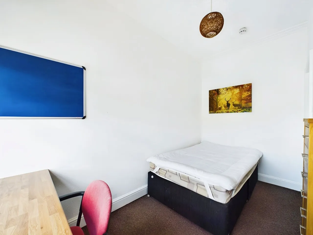 Queens Road, Hyde Park, LS6, photo 19