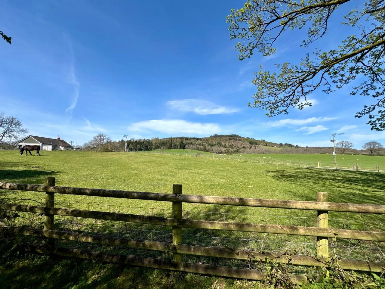 Garth, Llangammarch Wells, Powys, LD4 4AG, photo 25