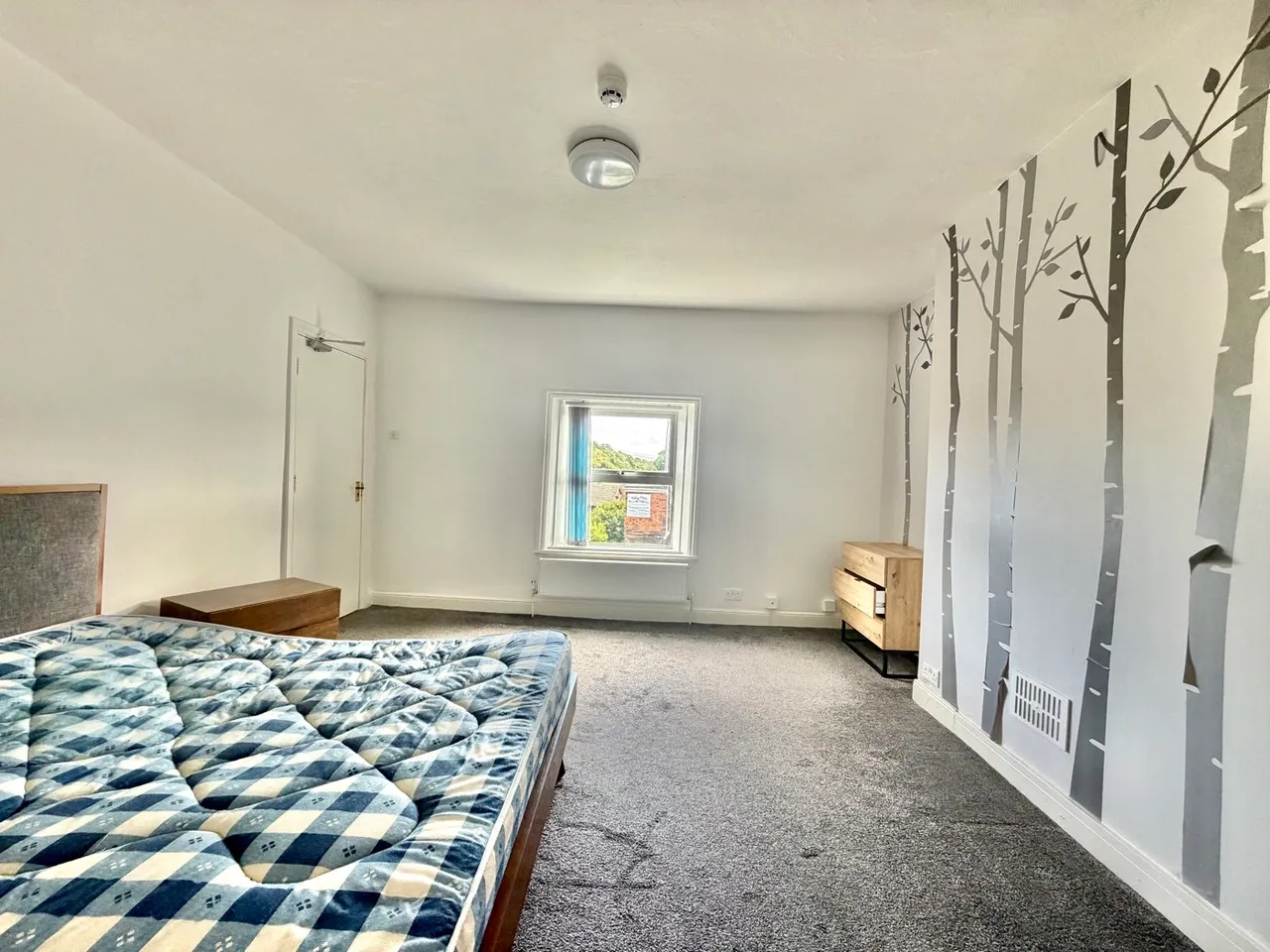 Woodland Road, Birkenhead, CH42, photo 10