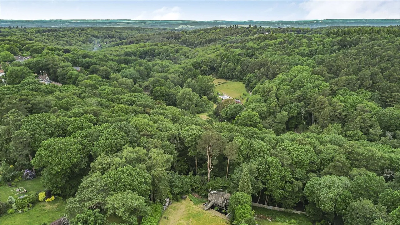 Woodcock Bottom, Grayshott, GU26, photo 39