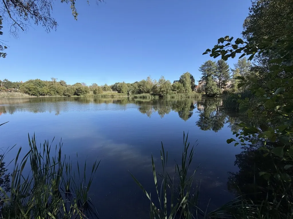 Mytchett, Camberley, photo 30