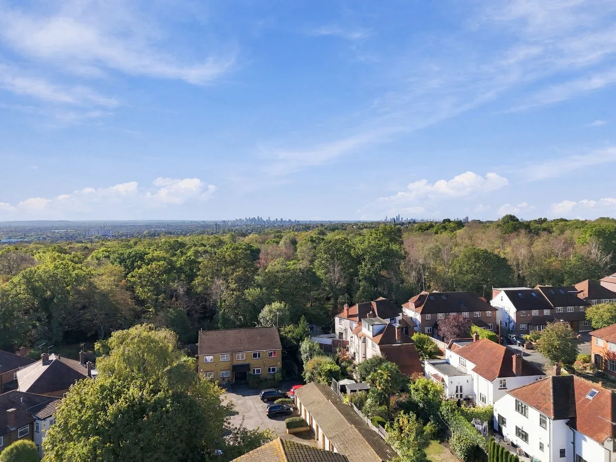 Princes Road, Buckhurst Hill, IG9, photo 18
