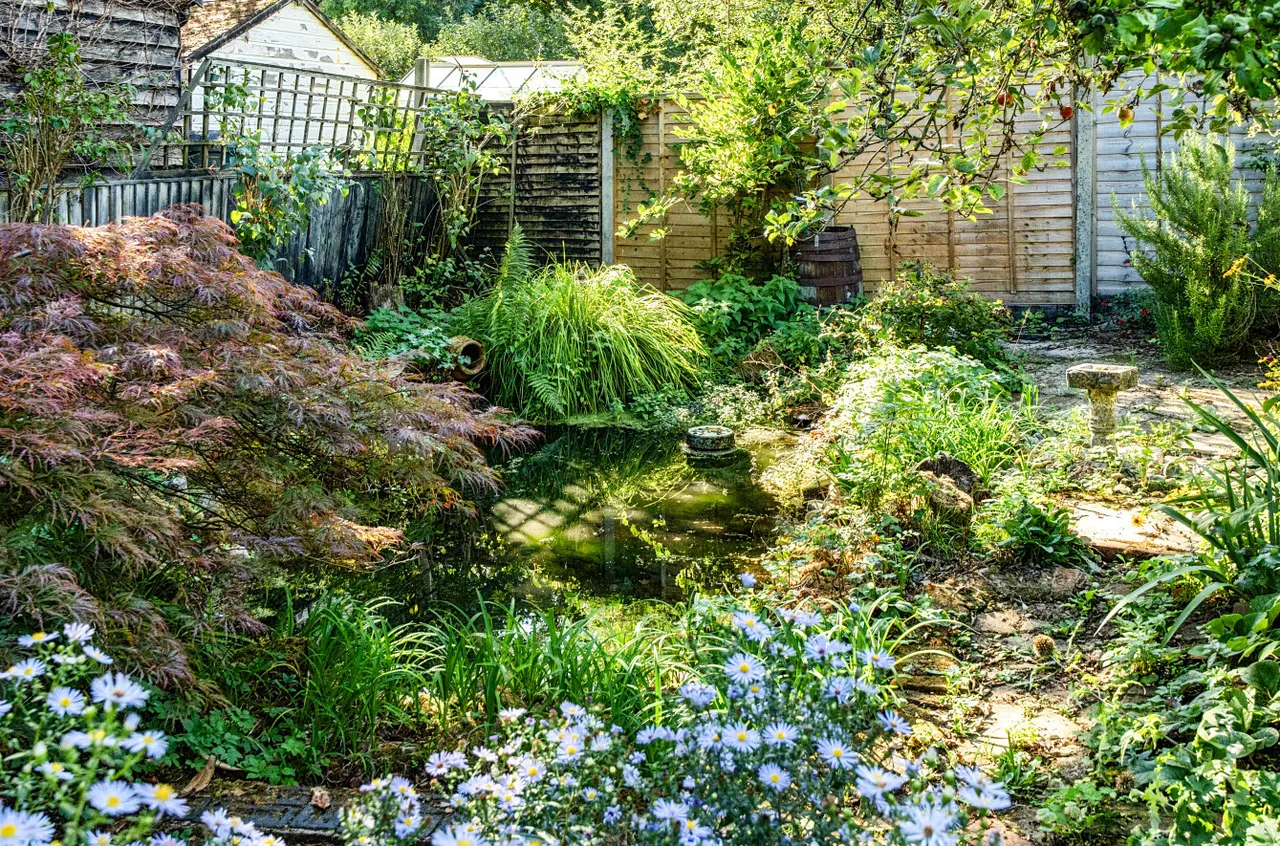 Salisbury Road, Plaitford, SO51, photo 13