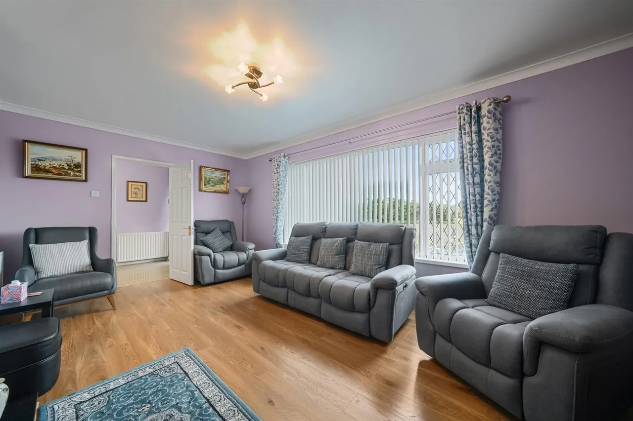 Moss Road, Ballynahinch, BT24, photo 6