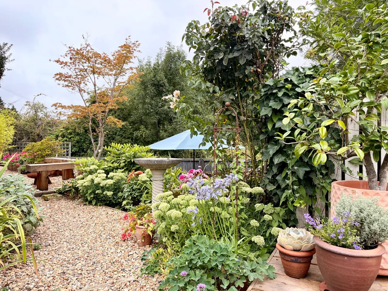 London Road, West Malling, photo 2