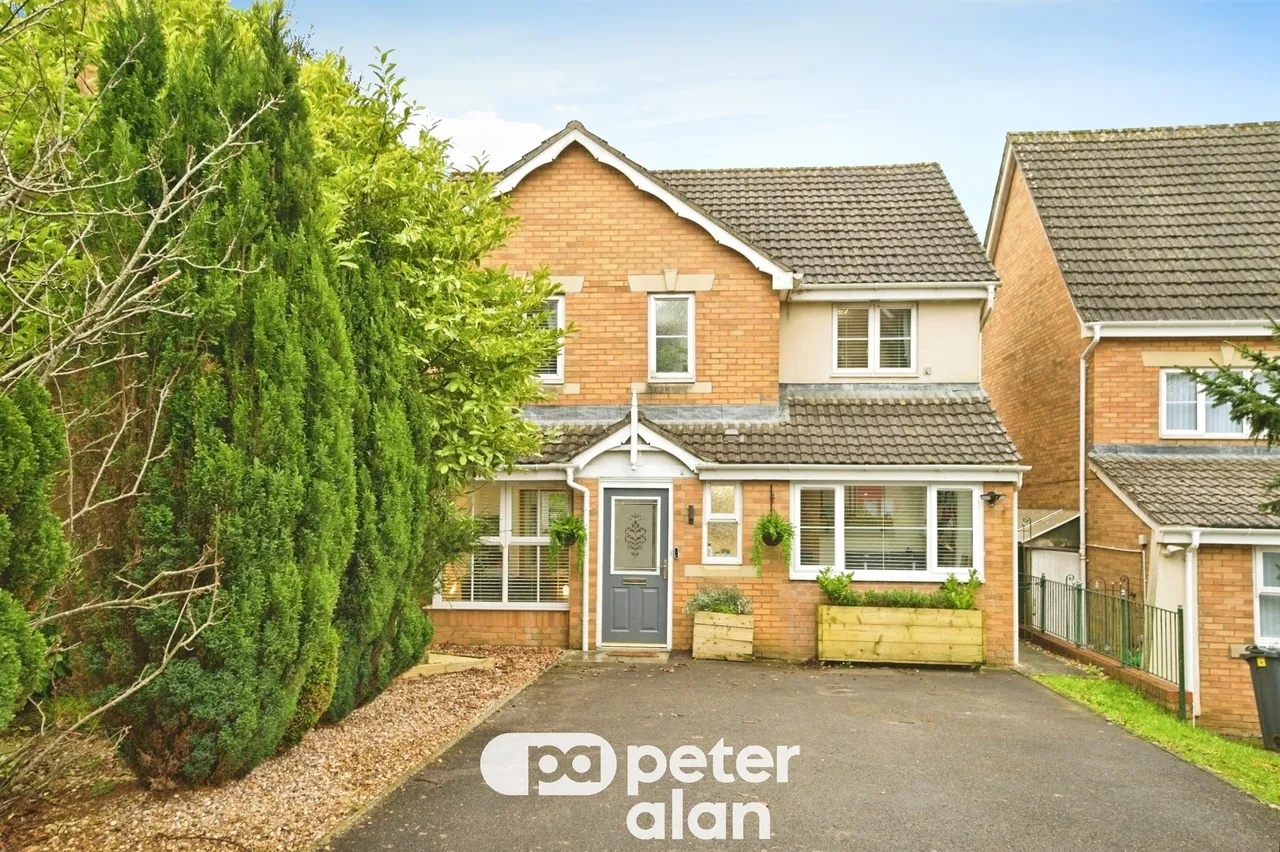Bassetts Field Cardiff, CF14, photo 21