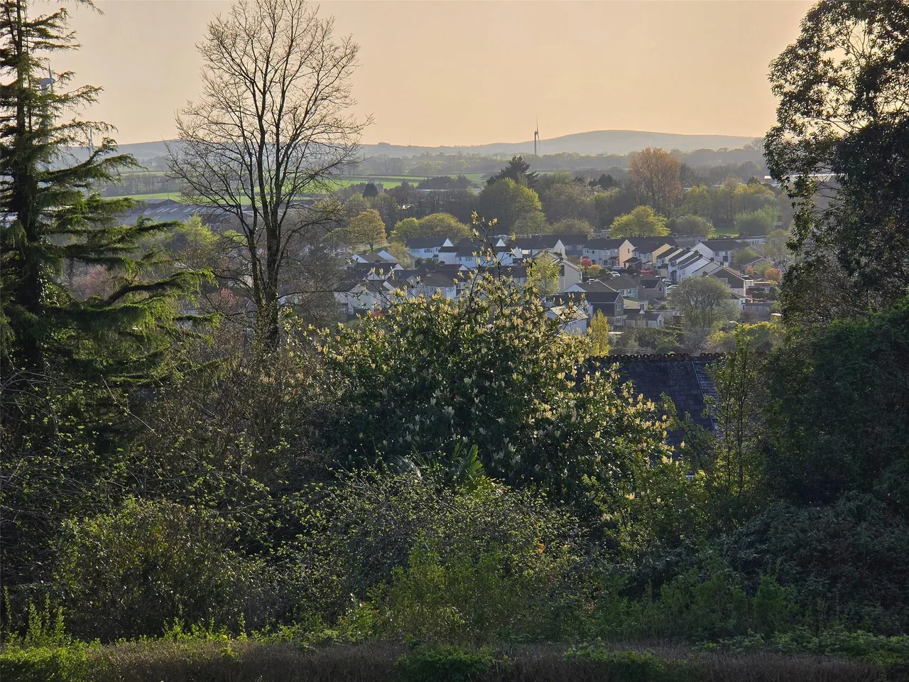 Windmill Hill, Launceston, photo 20