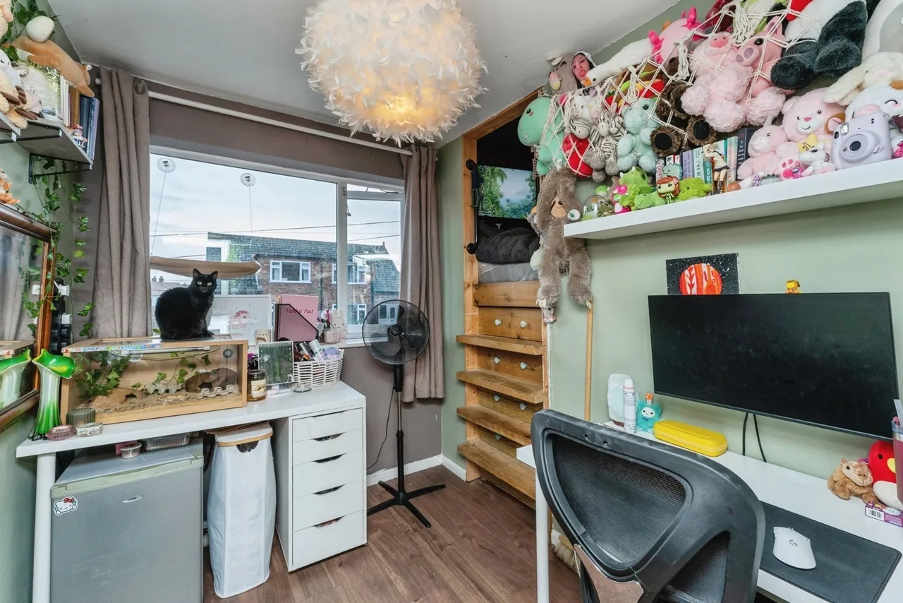 Rayon Road, Greenfield, CH8, photo 12