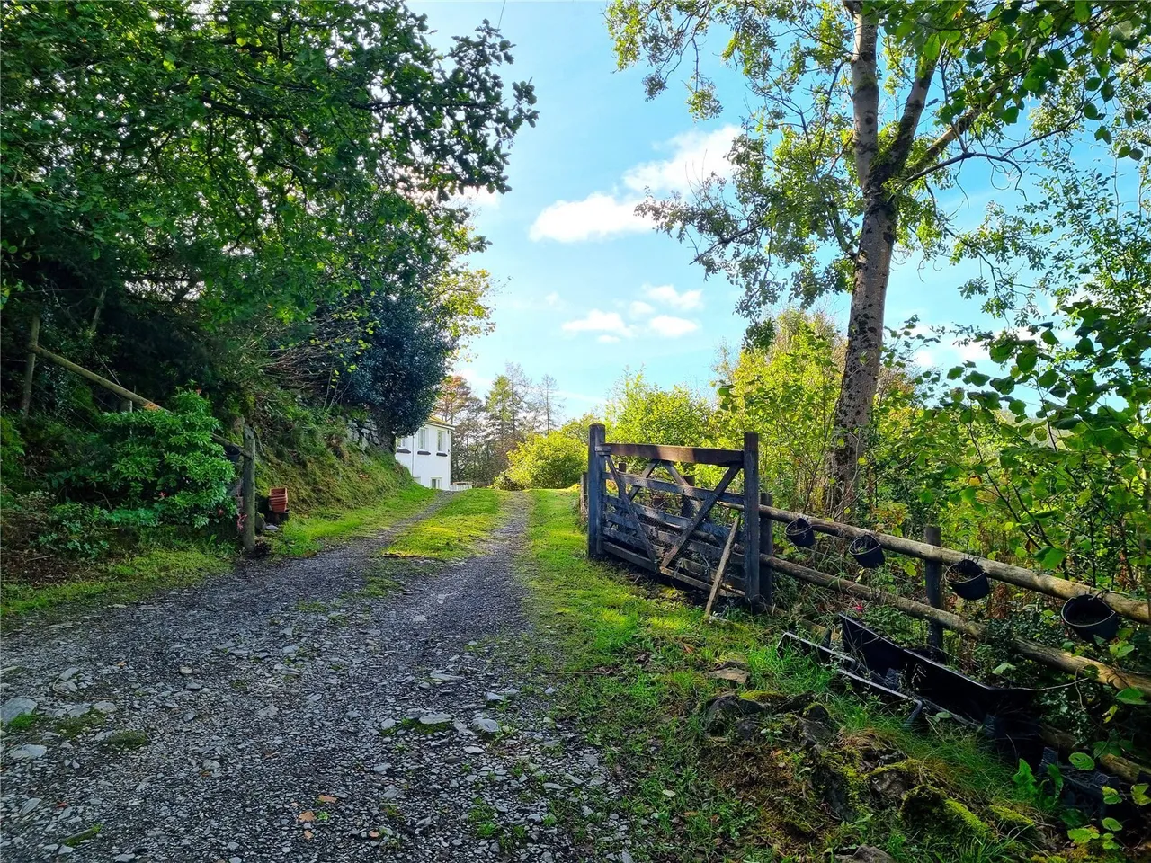 Pontrhydygroes, Ystrad Meurig, SY25, photo 27