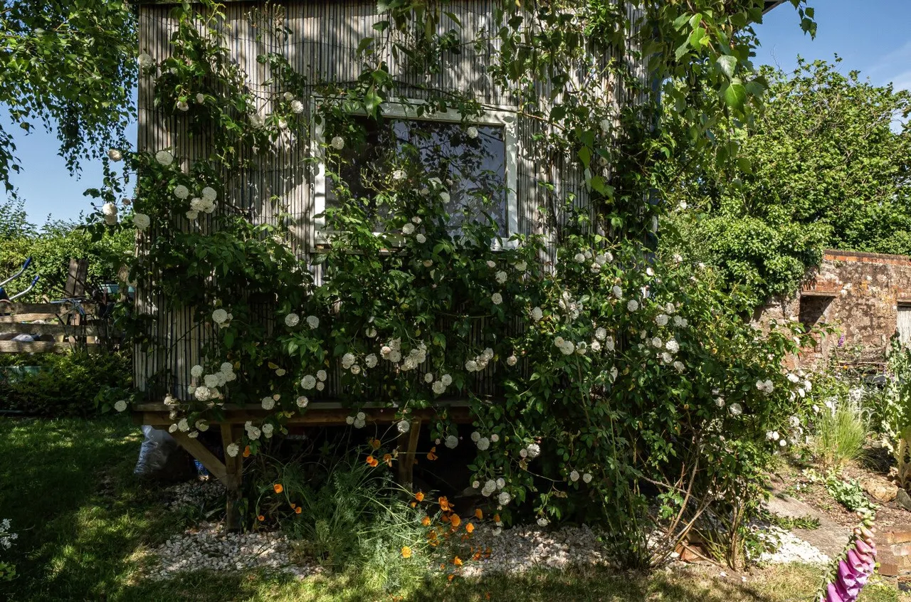 Bickley, Milverton, TA4, photo 31