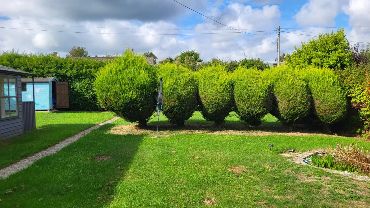 Middle Path, Crewkerne, TA18, photo 4