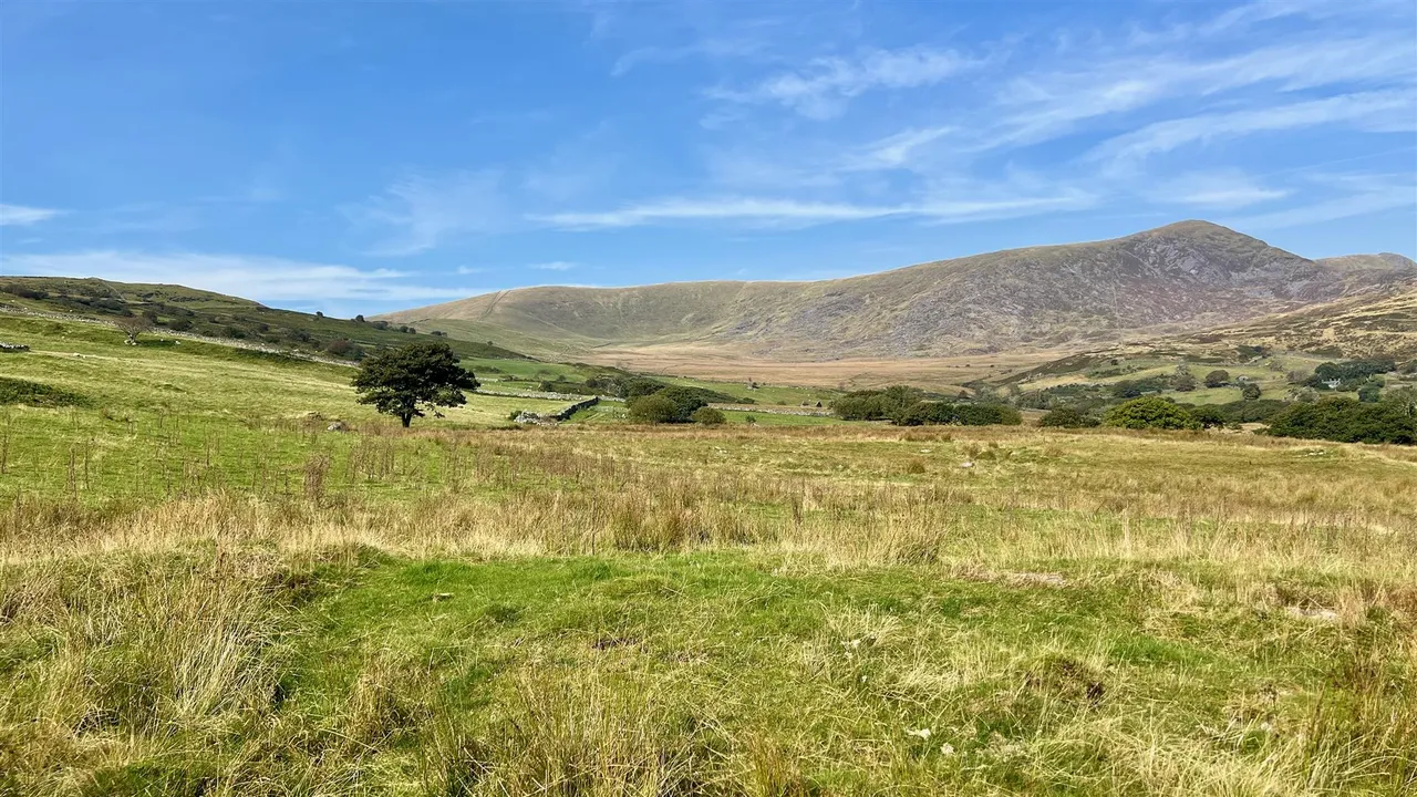 Bwlch Goch Uchaf, Bontddu, LL40, photo 26
