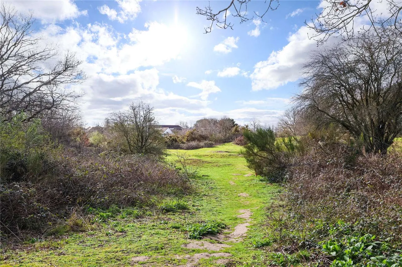 Just Off The Portsmouth Road, Cobham, KT11, photo 18