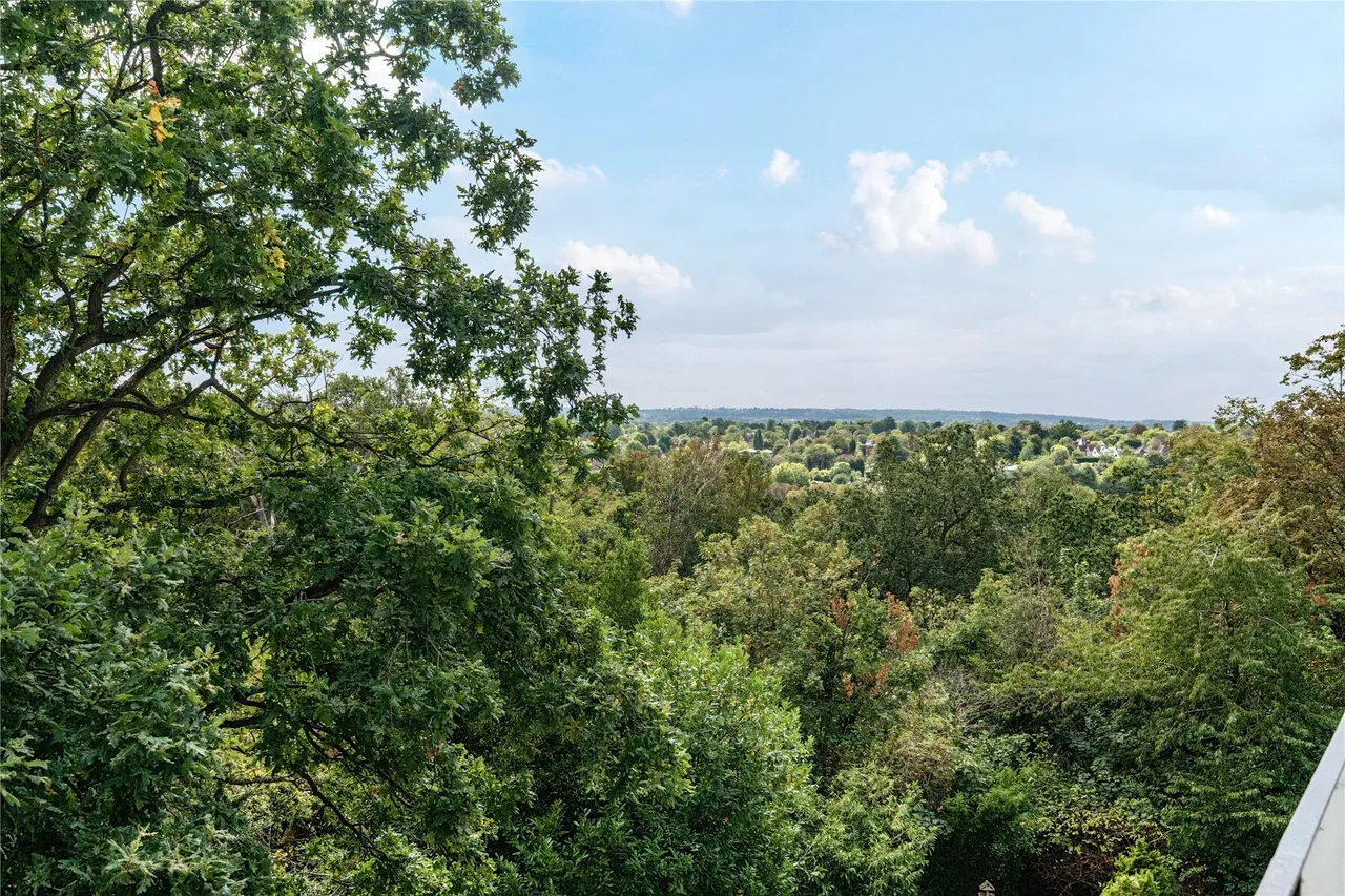 Highland Road, Bromley, BR1, photo 9