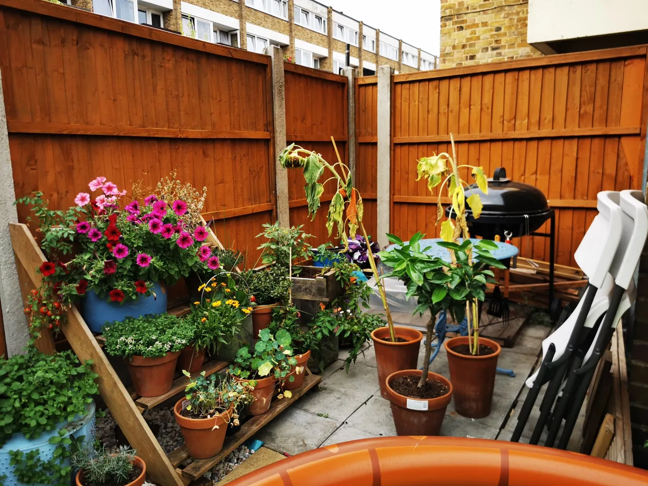 Southern Grove, London, E3, photo 11