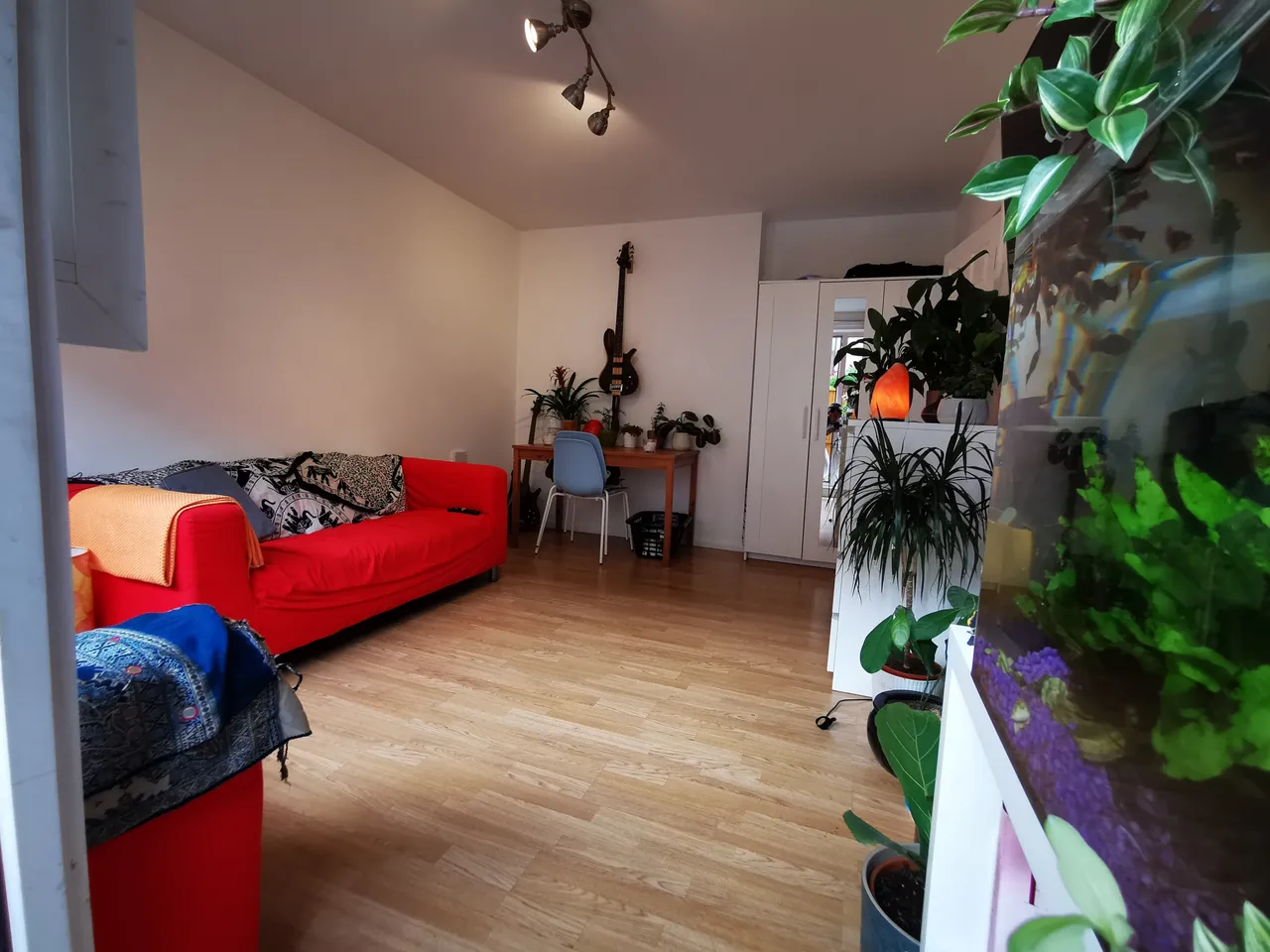 Southern Grove, London, E3, photo 4