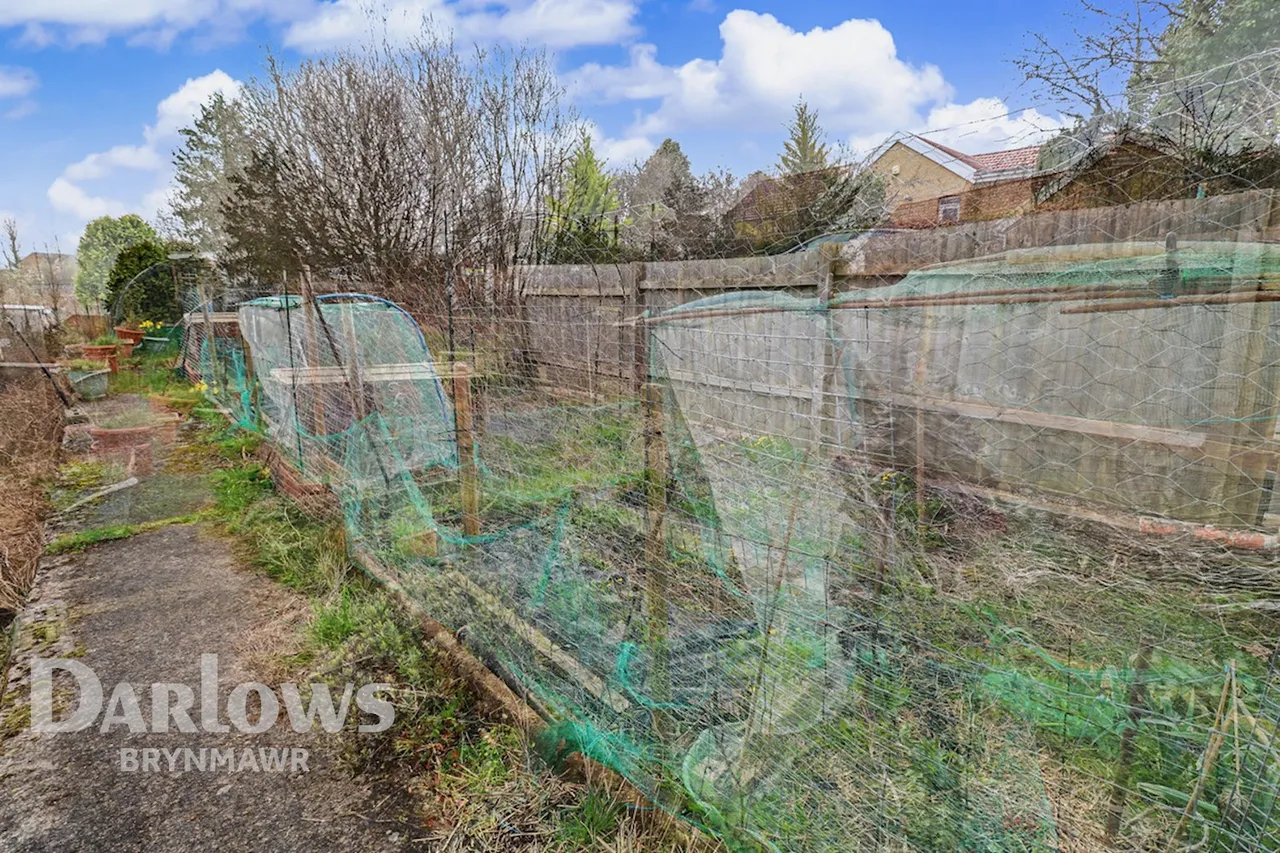 School Road, Ebbw Vale, photo 24