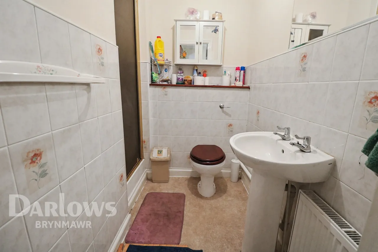 School Road, Ebbw Vale, photo 18