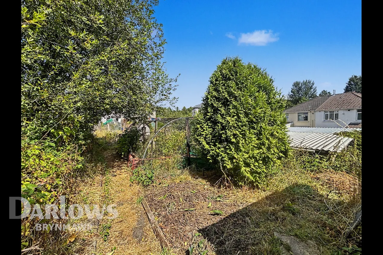 School Road, Ebbw Vale, photo 28