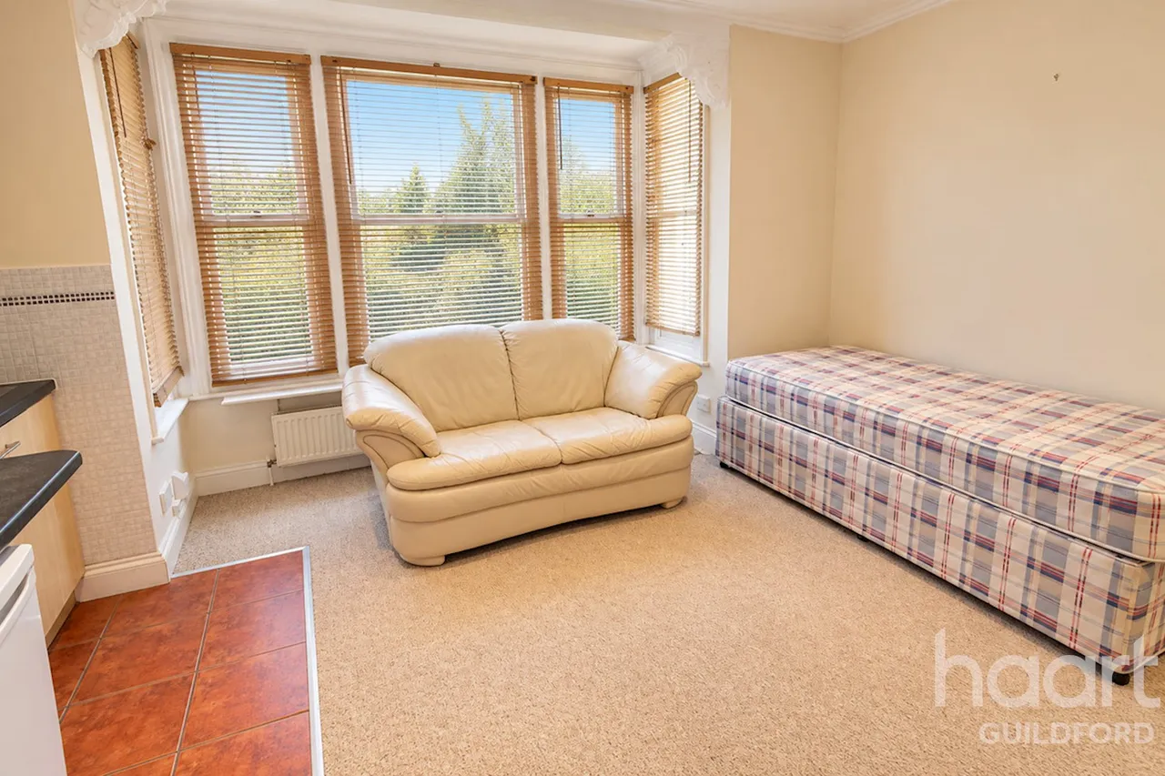 Farnham Road, GU2, photo 3