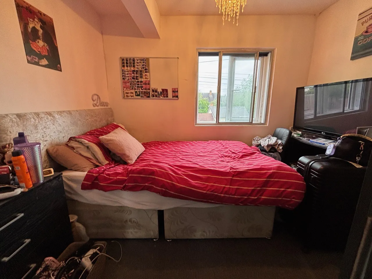 Jiggins Lane, B32, photo 10