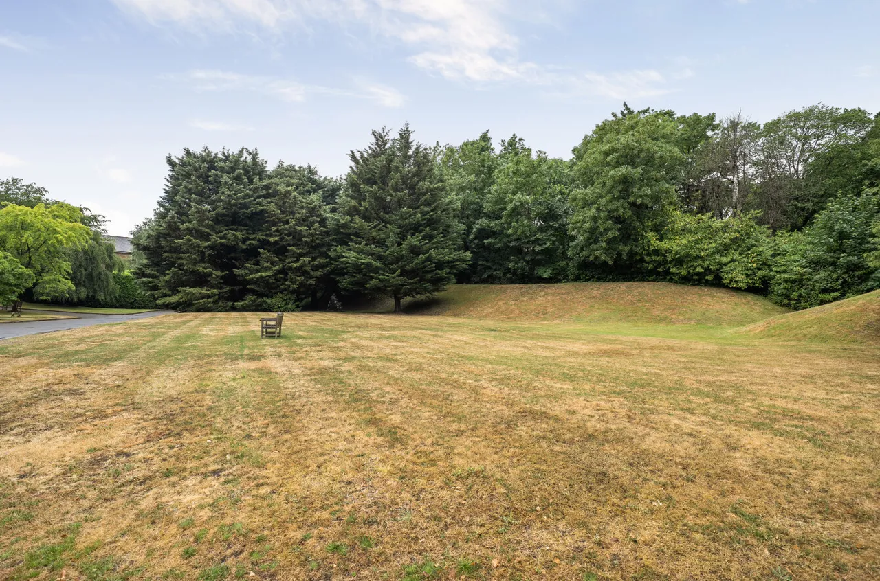 Portesbery Hill Drive, Camberley, GU15, photo 10