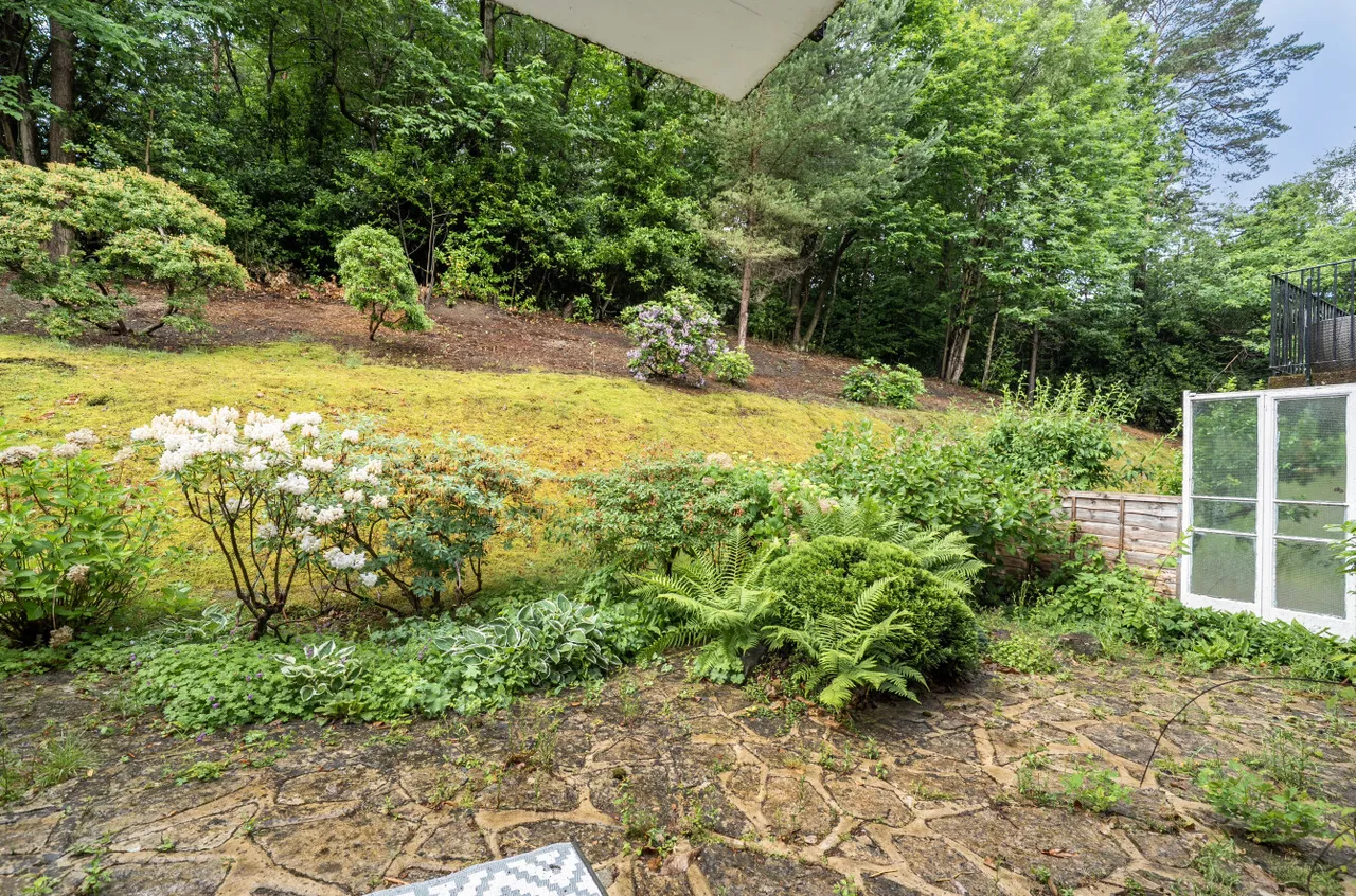 Portesbery Hill Drive, Camberley, GU15, photo 11