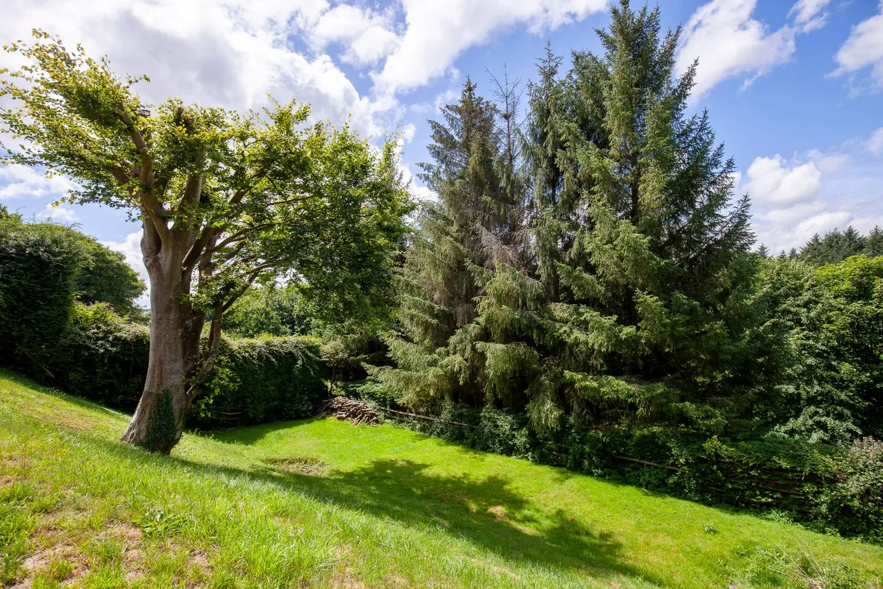 Higher Blandford Road, Shaftesbury, Dorset, SP7 8DA, photo 14