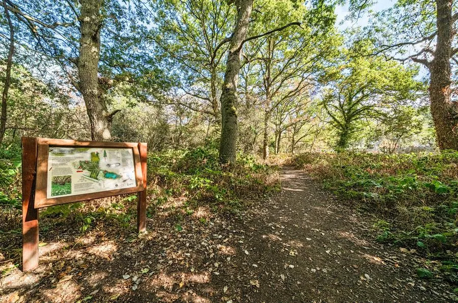 High Tree Drive, Earley, RG6, photo 18