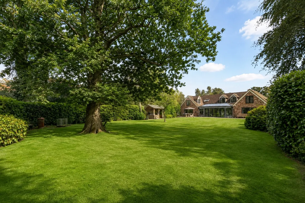 Oxted Green, Milford, GU8, photo 35