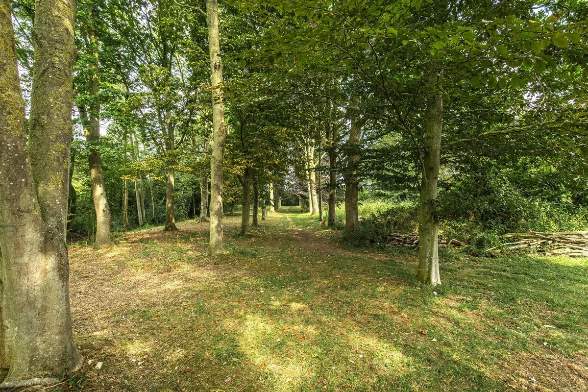 Rectory Road, Gissing, IP22, photo 34