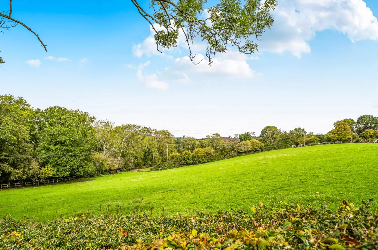 Ashdown View, Nutley, TN22, photo 16