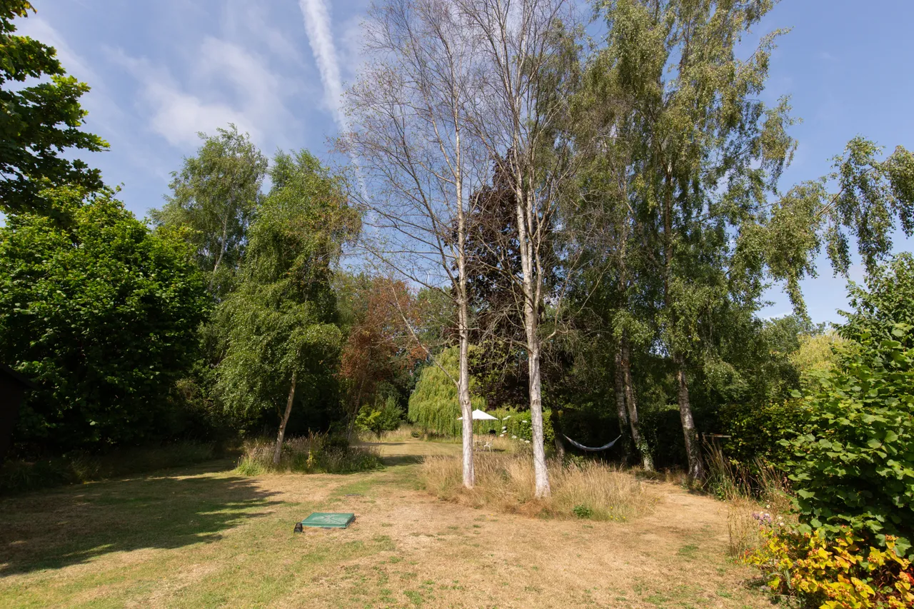 North Barningham Road, Bessingham, NR11, photo 23